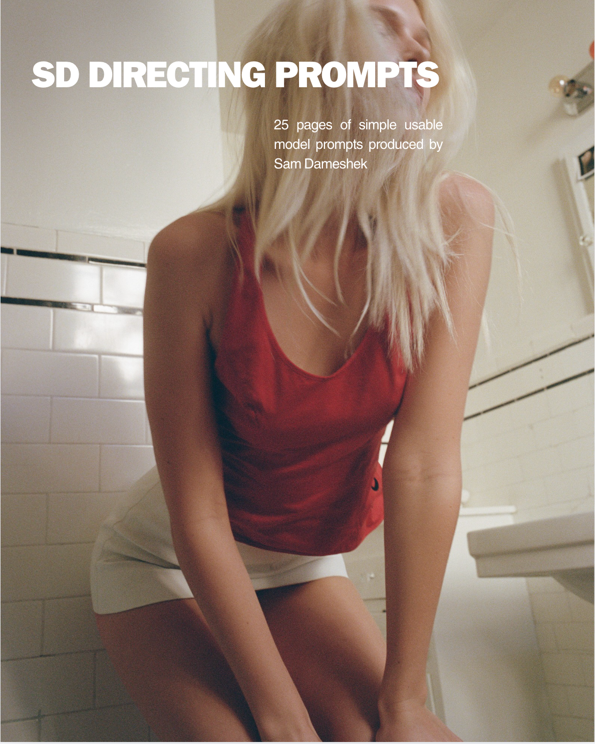 SD Model Prompt Handbook