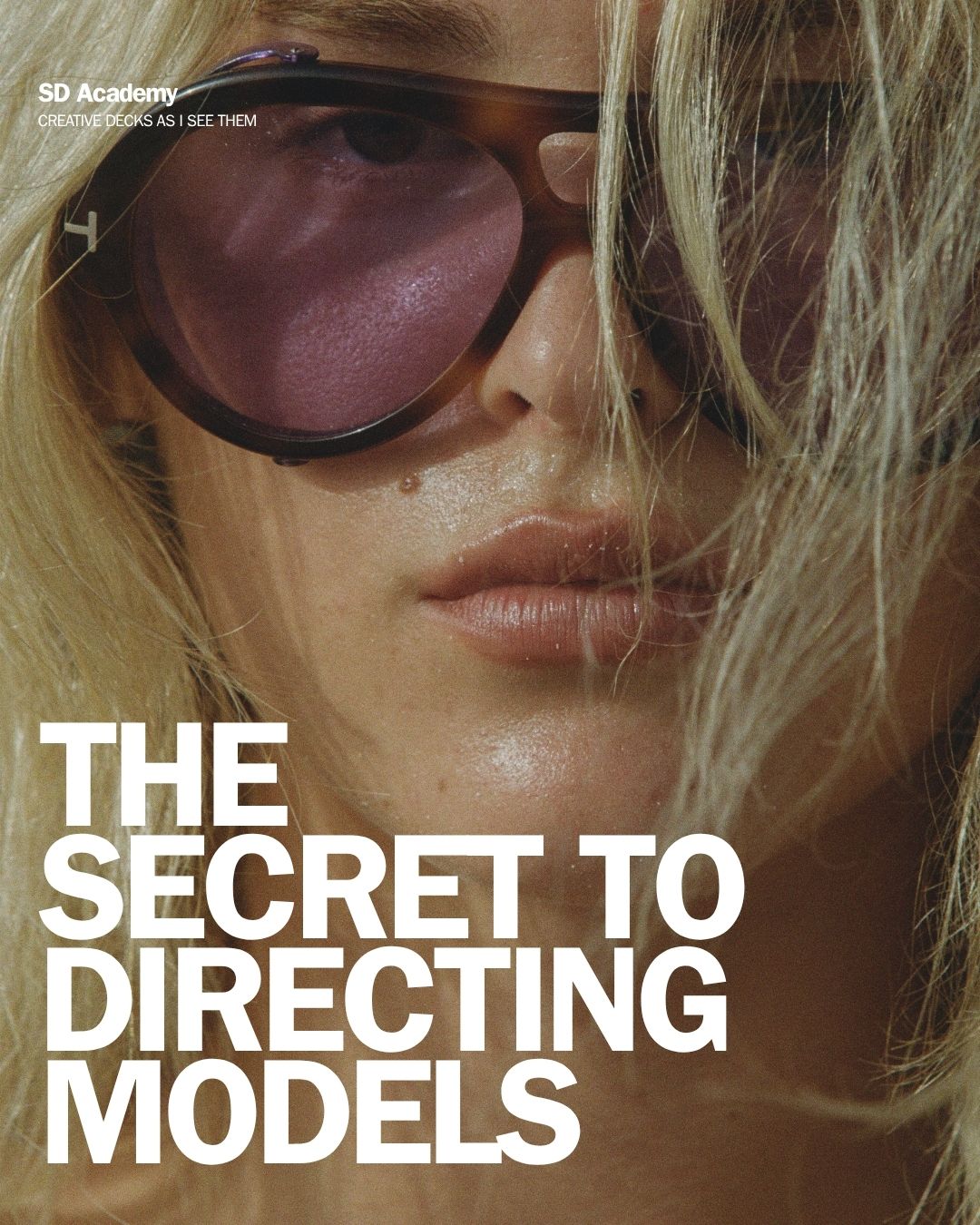 "The Secret To Directing Models" - Sample Size Prompt Pack